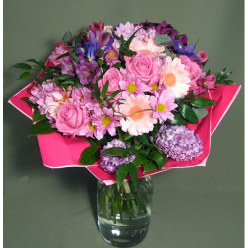 Greeting - in pink XL